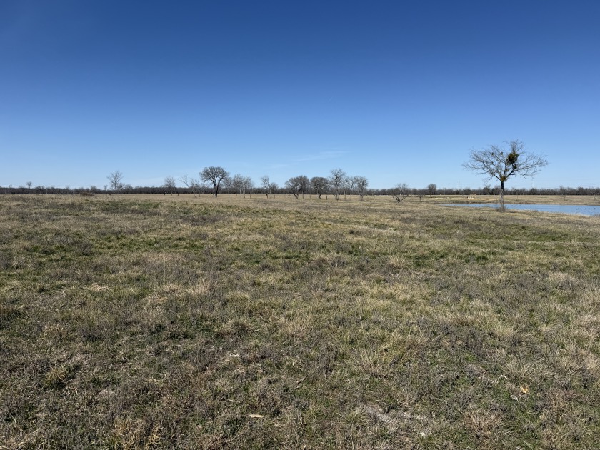300+ feet of shoreline on Lake Halbert/Magnolia! - photo 27