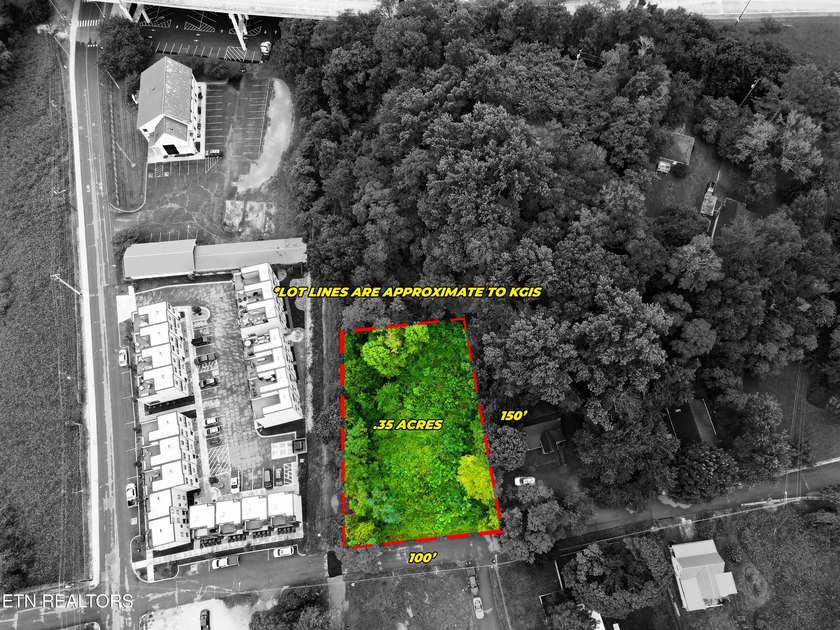 RARE Two South Waterfront lots situated right along the - photo 5