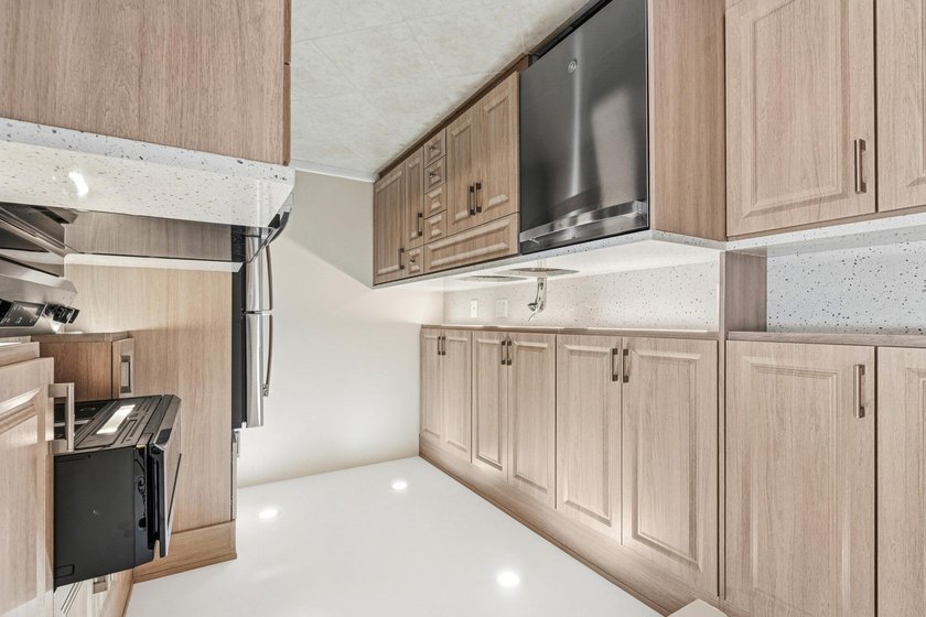 PENTHOUSE, UPGRADED KITCHEN CABINETS WITH QUARTZ COUNTERTOPS AND - photo 5