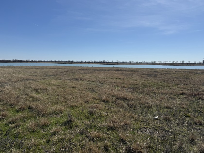 300+ feet of shoreline on Lake Halbert/Magnolia! - photo 18