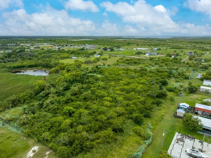 6.5-Acre Tract - Ready for Your Vision! 1790 FM 1781 offers an - photo 3