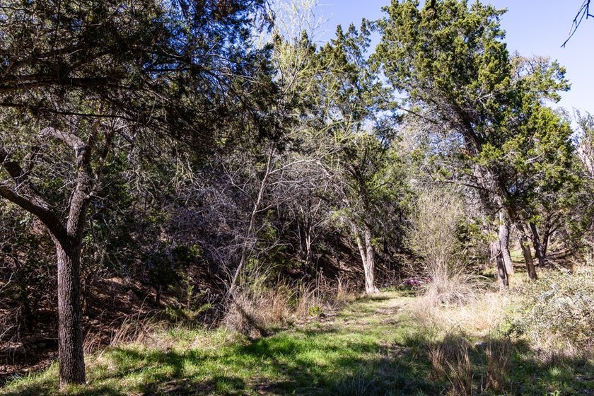 Escape to peaceful Hill Country living in desirable Saddlewood - photo 46