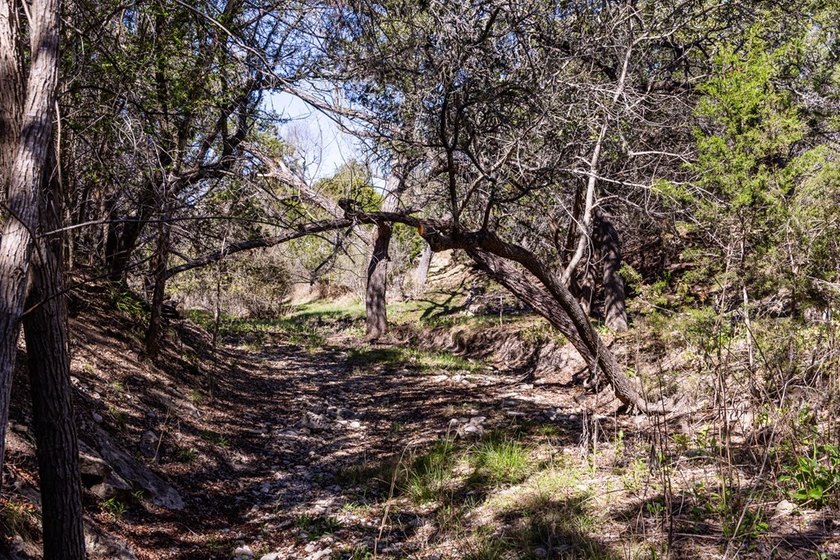 Escape to peaceful Hill Country living in desirable Saddlewood - photo 48