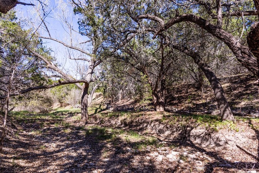 Escape to peaceful Hill Country living in desirable Saddlewood - photo 50