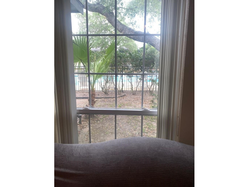 Spacious ground-floor 2-bedroom, 2.5-bath corner unit with a - photo 22