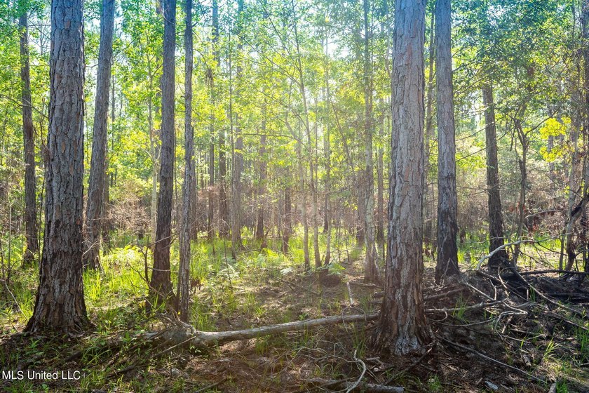 Don't miss your chance to own a unique piece of land with tons - photo 5