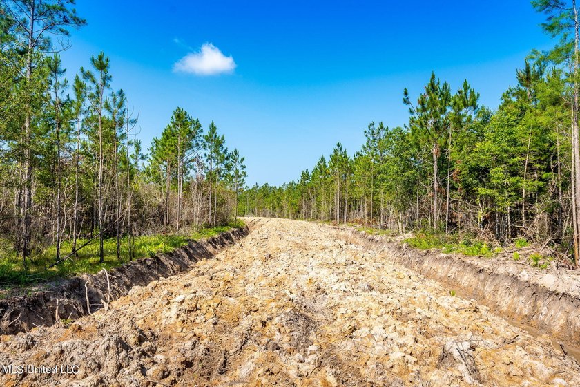 Don't miss your chance to own a unique piece of land with tons - photo 7