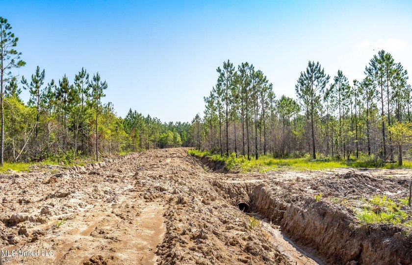 Don't miss your chance to own a unique piece of land with tons - photo 8