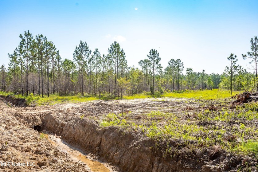 Don't miss your chance to own a unique piece of land with tons - photo 9