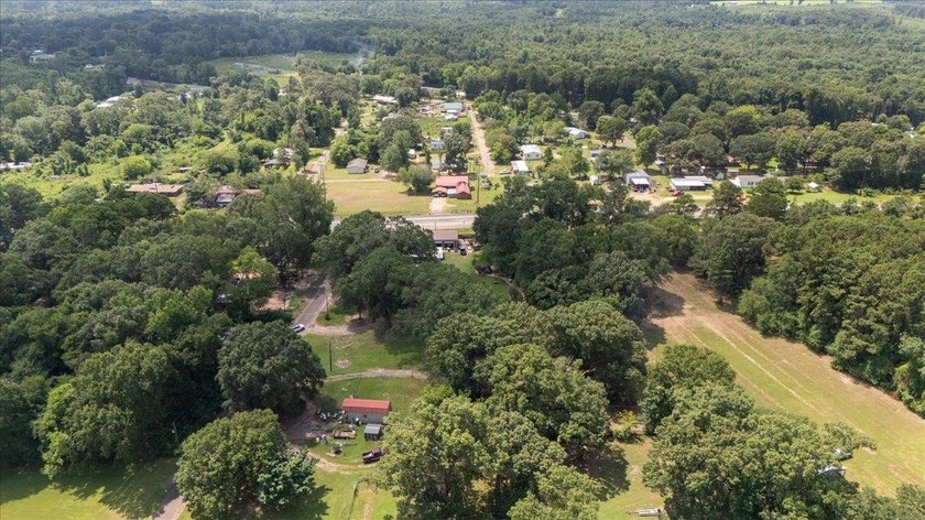 Looking for the perfect place to enjoy East Texas lake living? - photo 39