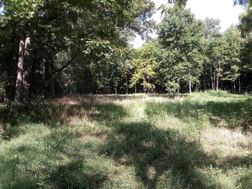 Farmhouse with acreage! Motivated Seller! Make offer on all or - photo 47