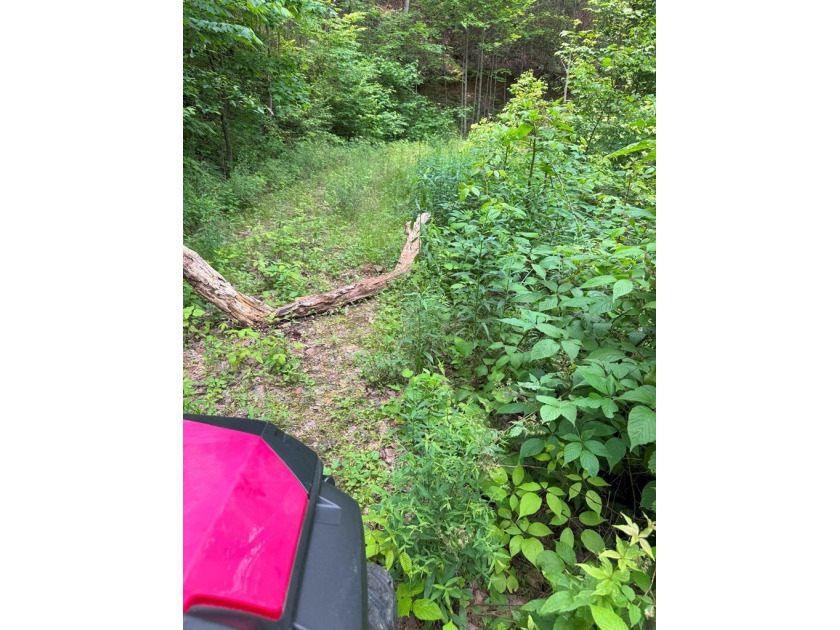 Opportunity Knocks to own this 88.41 acre parcel close to - photo 17