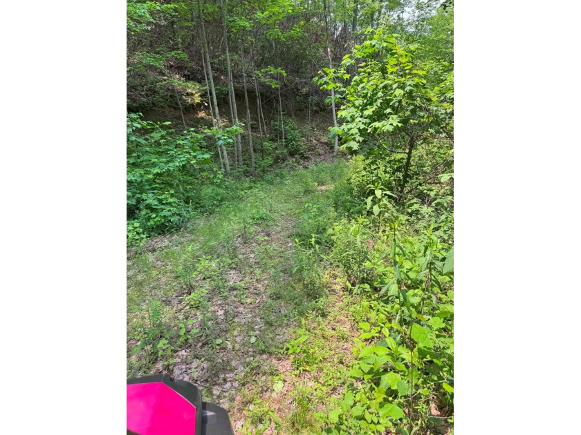 Opportunity Knocks to own this 88.41 acre parcel close to - photo 18