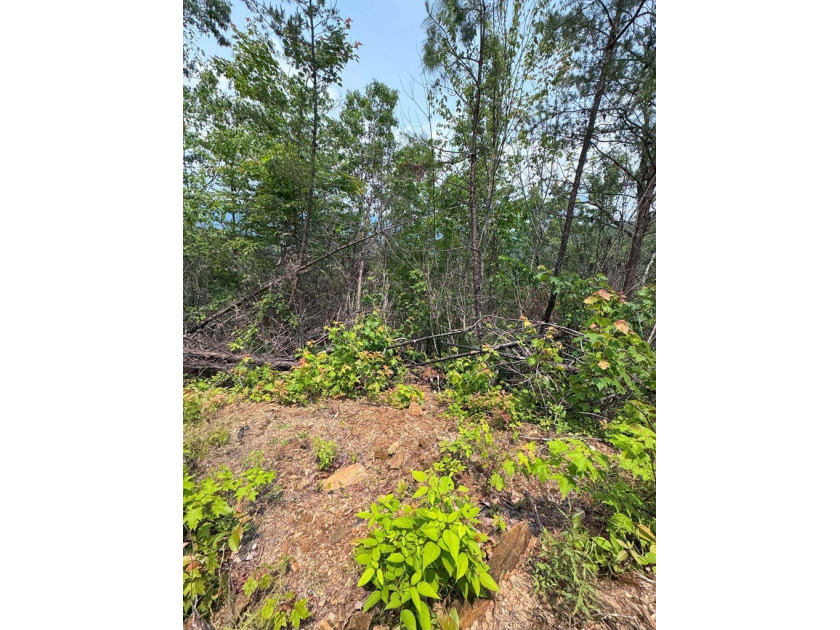 Opportunity Knocks to own this 88.41 acre parcel close to - photo 28
