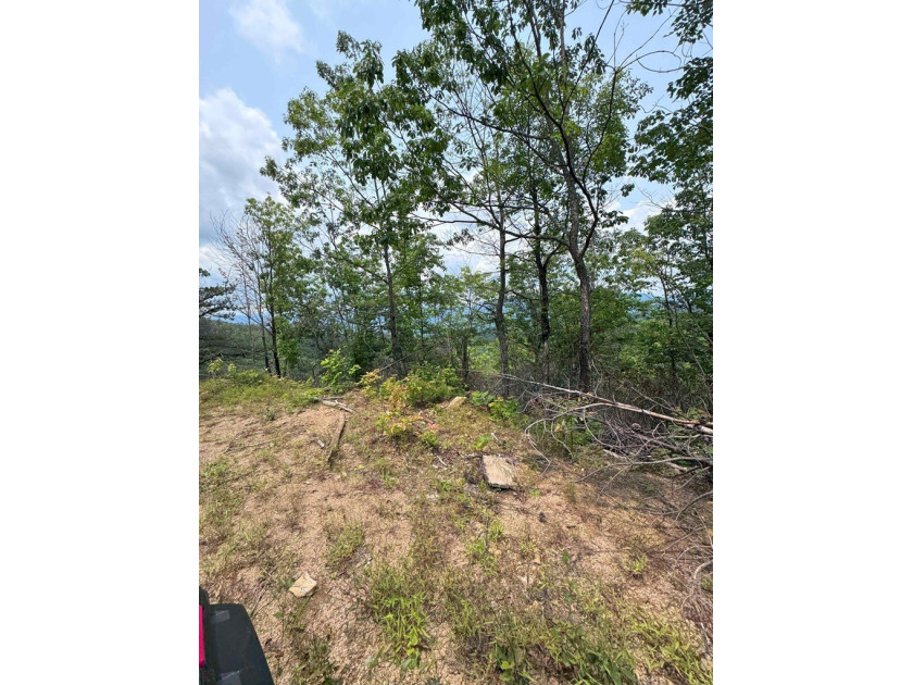 Opportunity Knocks to own this 88.41 acre parcel close to - photo 30