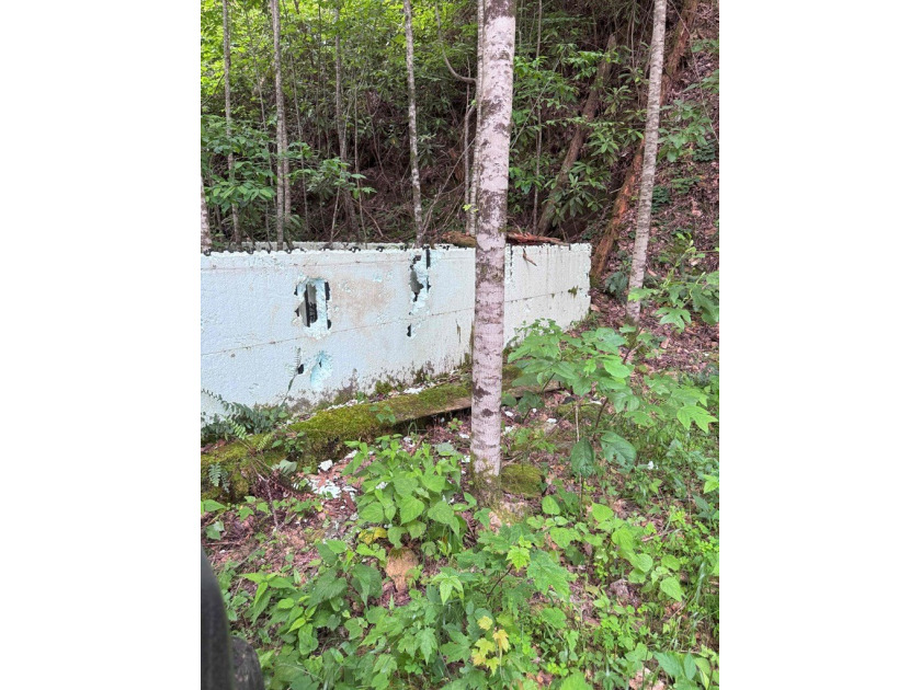 Opportunity Knocks to own this 88.41 acre parcel close to - photo 34