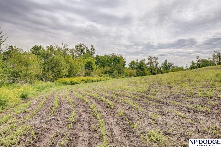 Rare opportunity to own a beautiful piece of land with - photo 14