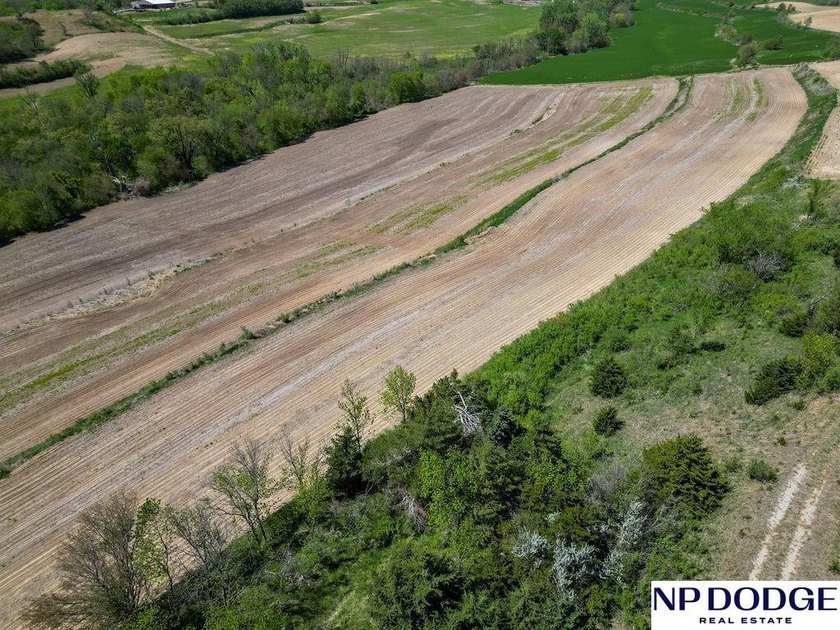 Rare opportunity to own a beautiful piece of land with - photo 37