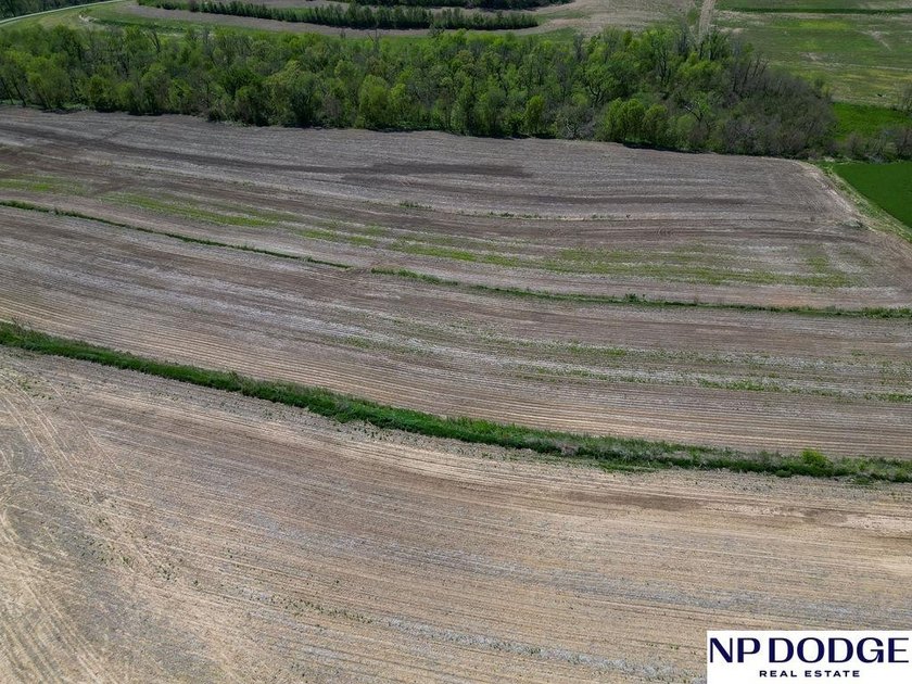 Rare opportunity to own a beautiful piece of land with - photo 38