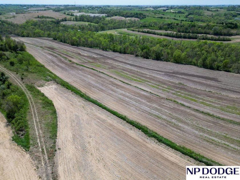 Rare opportunity to own a beautiful piece of land with - photo 39