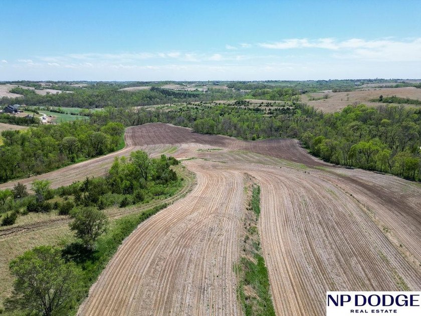 Rare opportunity to own a beautiful piece of land with - photo 44
