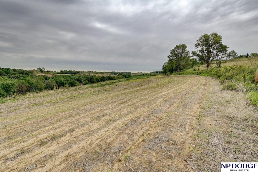Rare opportunity to own a beautiful piece of land with - photo 45