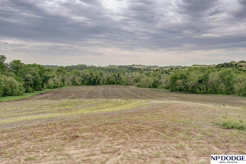 Rare opportunity to own a beautiful piece of land with - photo 47