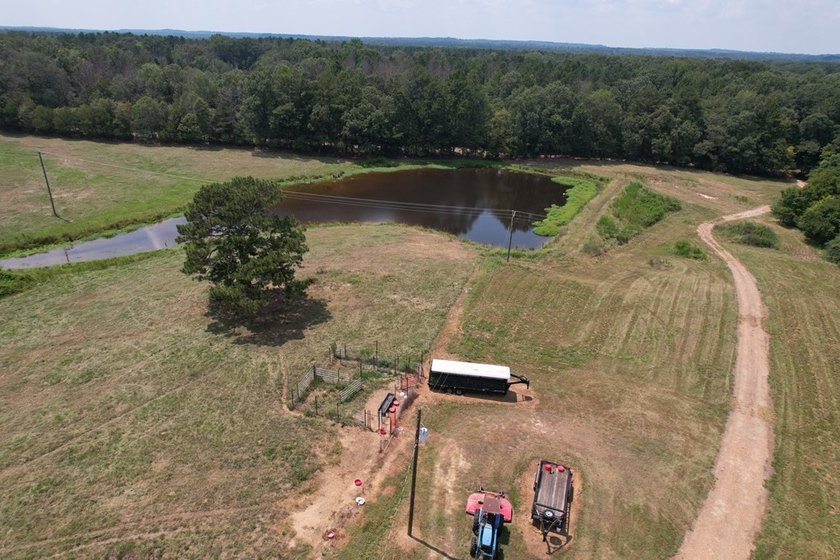 This 44.19 acres offers pretty, open pasture land with gently - photo 11