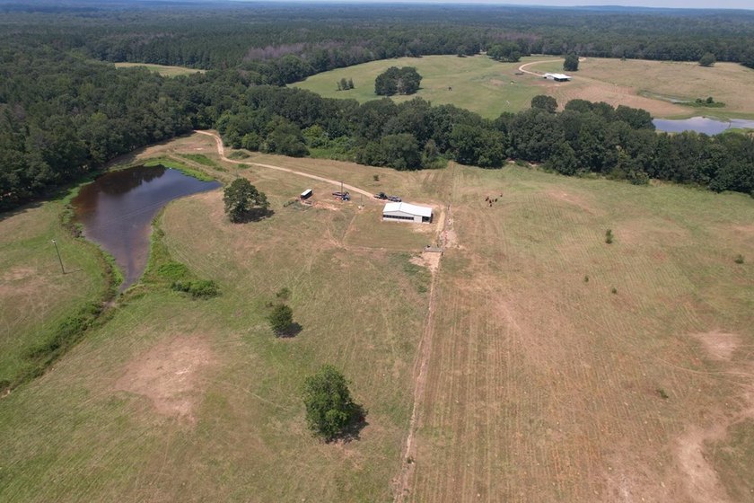 This 44.19 acres offers pretty, open pasture land with gently - photo 14
