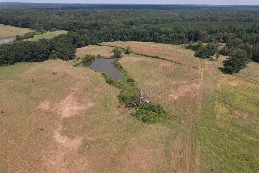 This 44.19 acres offers pretty, open pasture land with gently - photo 15