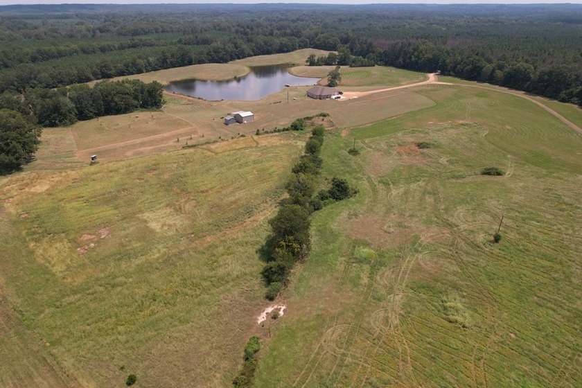 This 44.19 acres offers pretty, open pasture land with gently - photo 16