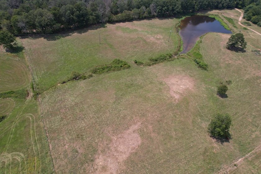 This 44.19 acres offers pretty, open pasture land with gently - photo 18