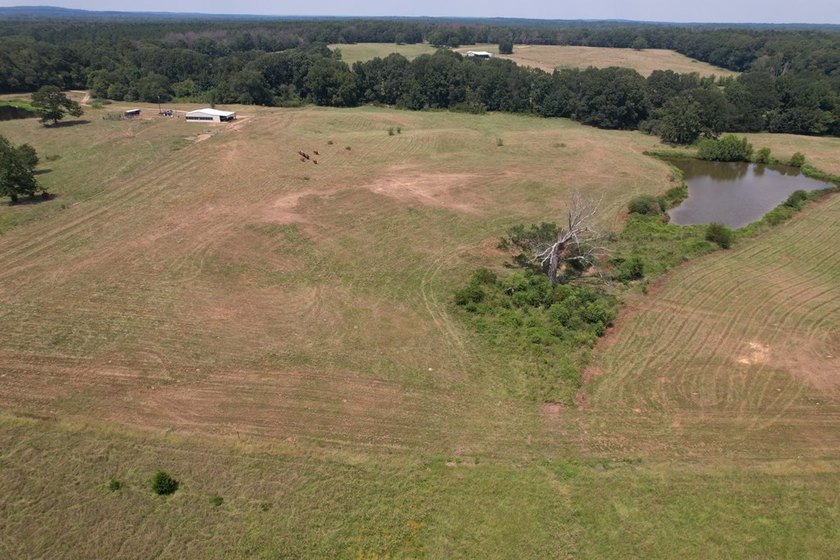 This 44.19 acres offers pretty, open pasture land with gently - photo 19