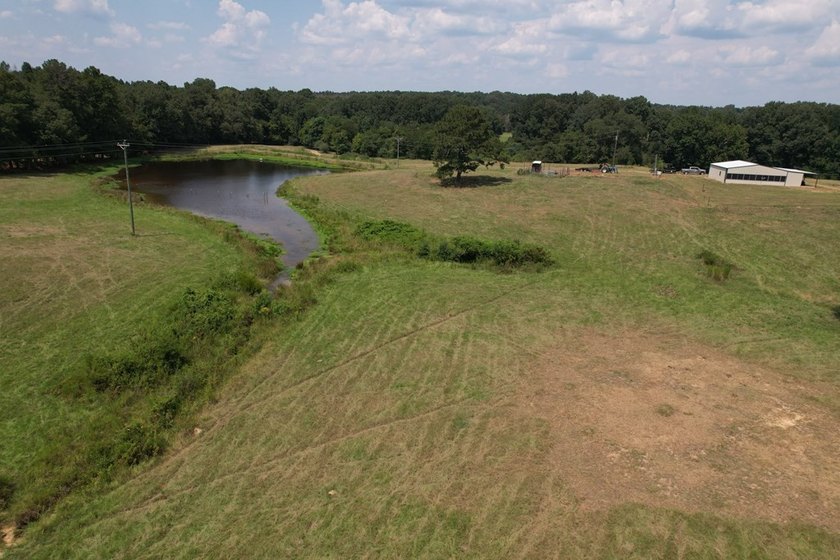 This 44.19 acres offers pretty, open pasture land with gently - photo 21