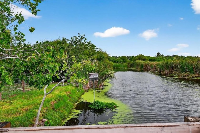 Charming 3-Bed, 2-Bath Home on Serene Pond in Rockport, Texas - photo 6