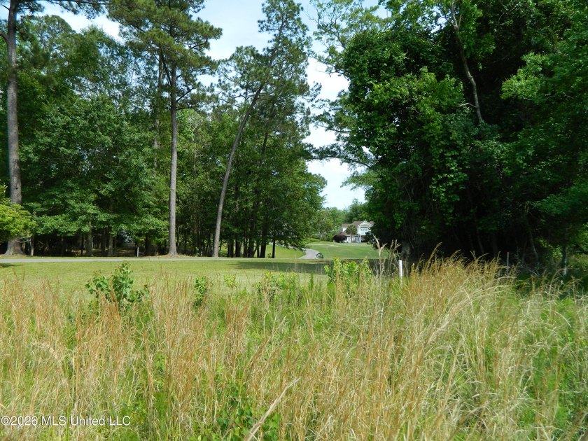 The Sanctuary, Diamondhead's newest area for your custom home - photo 8