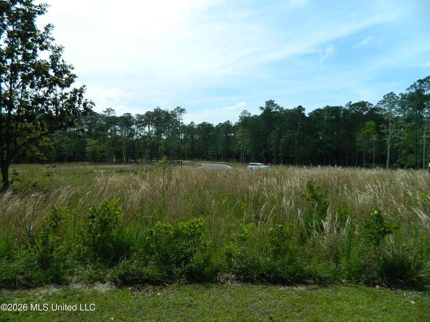 The Sanctuary, Diamondhead's newest area for your custom home - photo 10