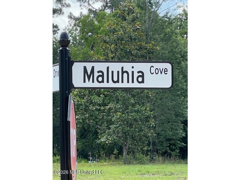 The Sanctuary, Diamondhead's newest area for your custom home - photo 2