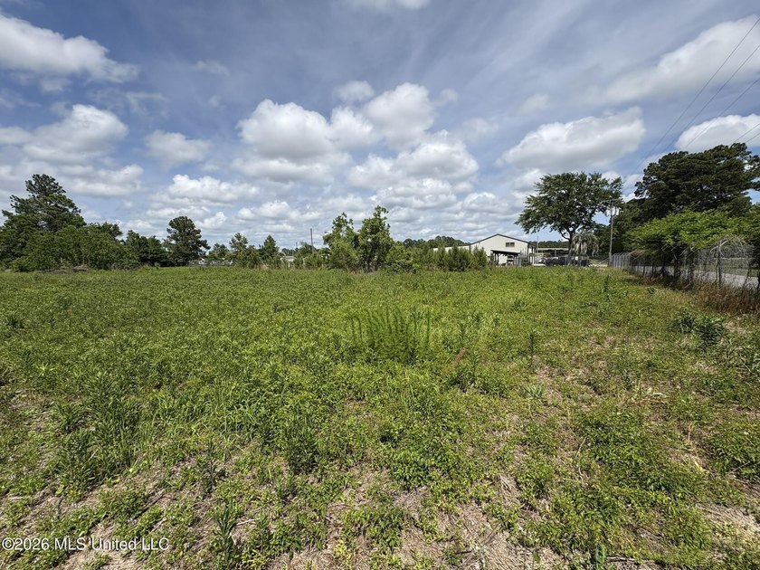 Approximately 2-acre parcel located on Franklin Road in Ocean - photo 4