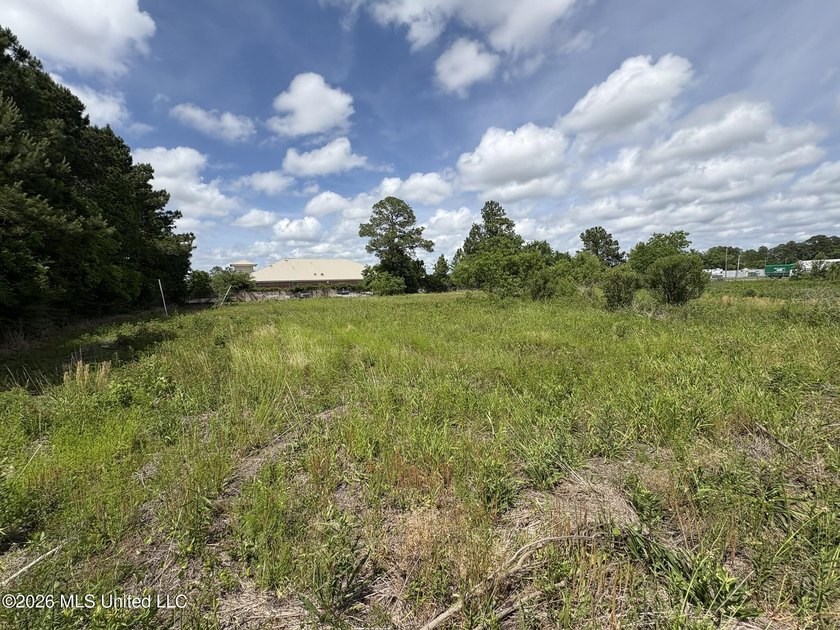 Approximately 2-acre parcel located on Franklin Road in Ocean - photo 5