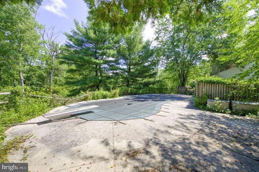 Wonderful opportunity to own on Horseshoe Rd. Great bones and so - photo 50