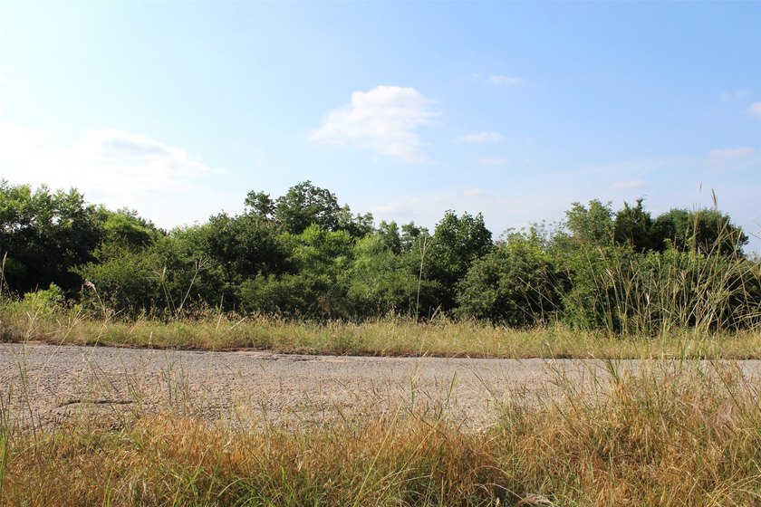 Fantastic lot in the desired Granbury area. Private water and co - photo 2