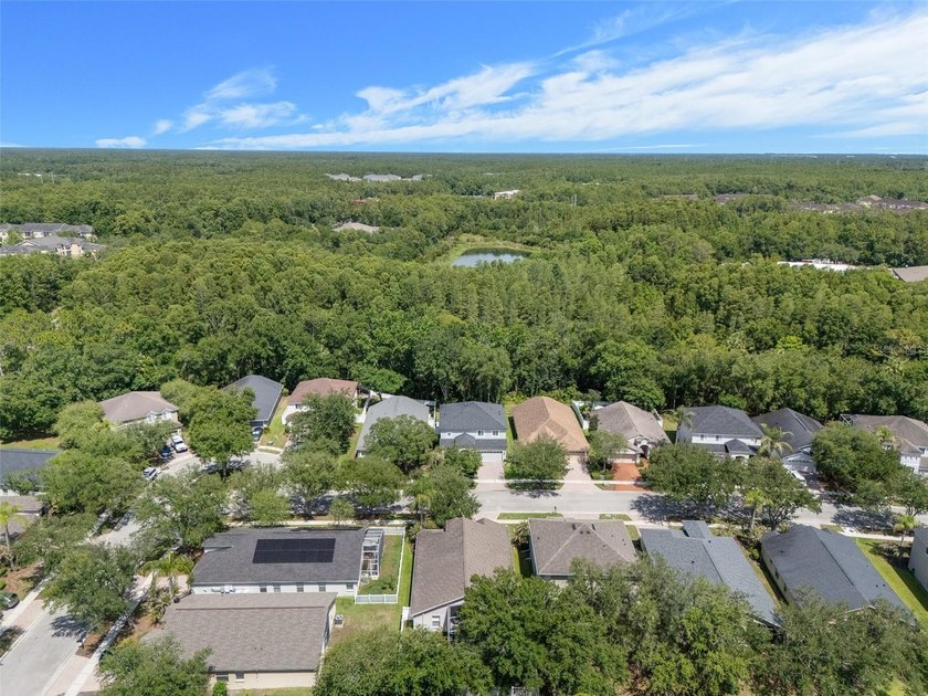 Welcome to the Mayfair section of Tampa Palms, where this - photo 50