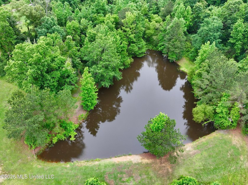Escape to your own private paradise with stunning retreat set on - photo 7