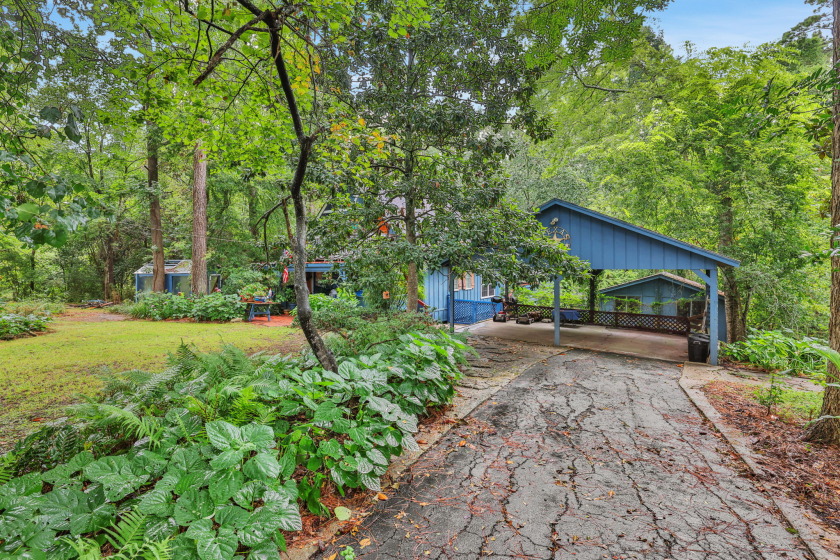 Charming Lake Livingston Retreat on 1.3 Acres - photo 29