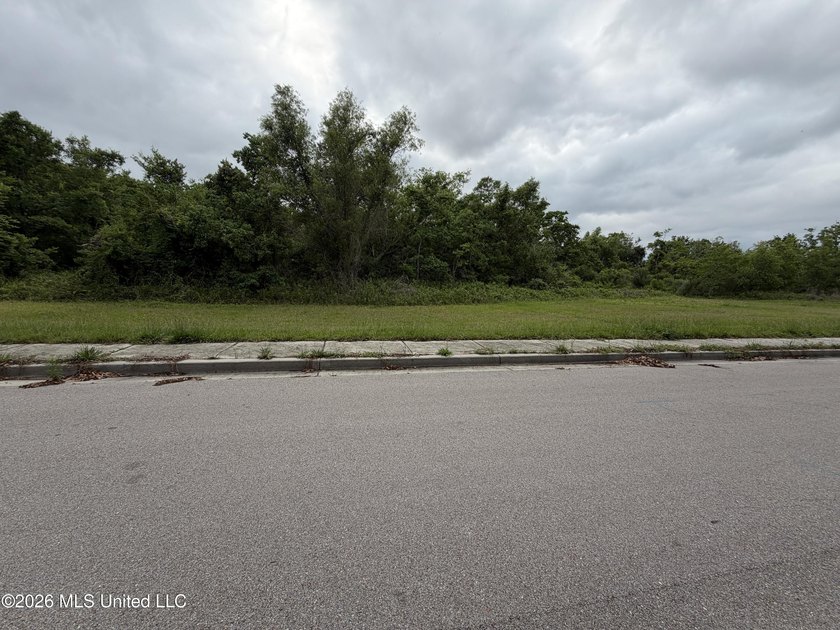 Cleared lot in Biloxi, conveniently located near casinos, dining - photo 2