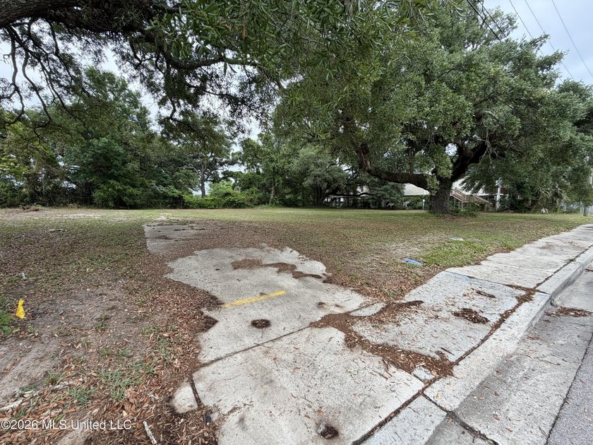 Cleared lot in Biloxi, conveniently located near casinos, dining - photo 5