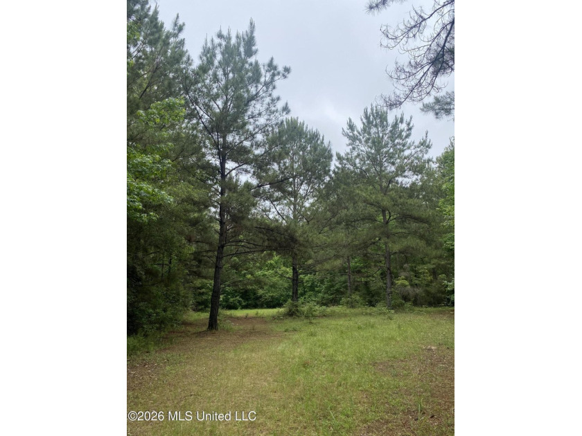 **Secluded Hardwood Haven in Amite County, Mississippi!** Escape - photo 2