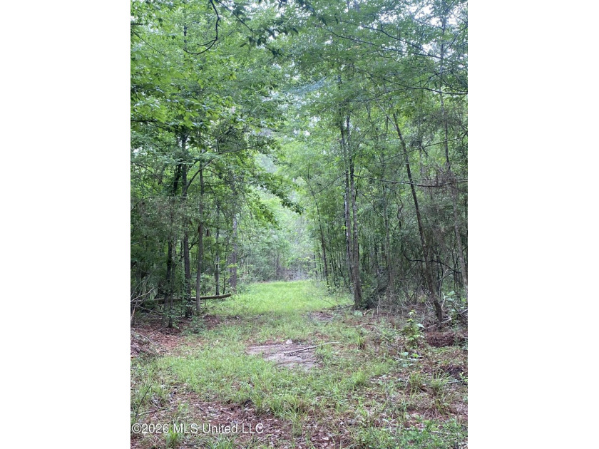 **Secluded Hardwood Haven in Amite County, Mississippi!** Escape - photo 4