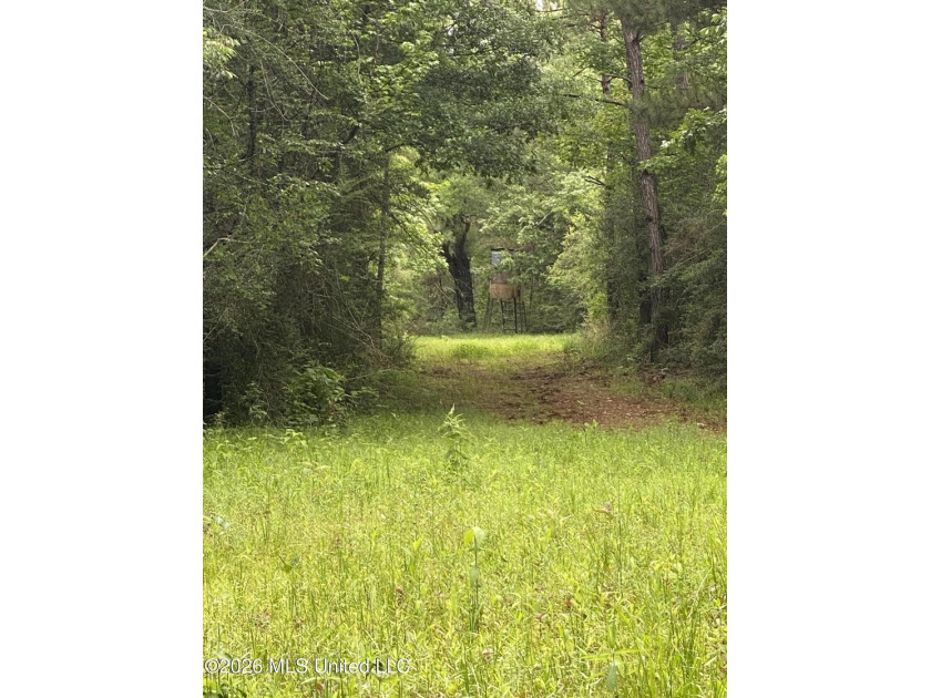 **Secluded Hardwood Haven in Amite County, Mississippi!** Escape - photo 6